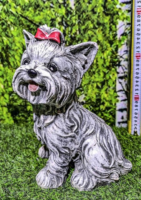 йорк с бант 1